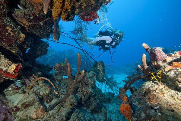 Scuba diver exploring